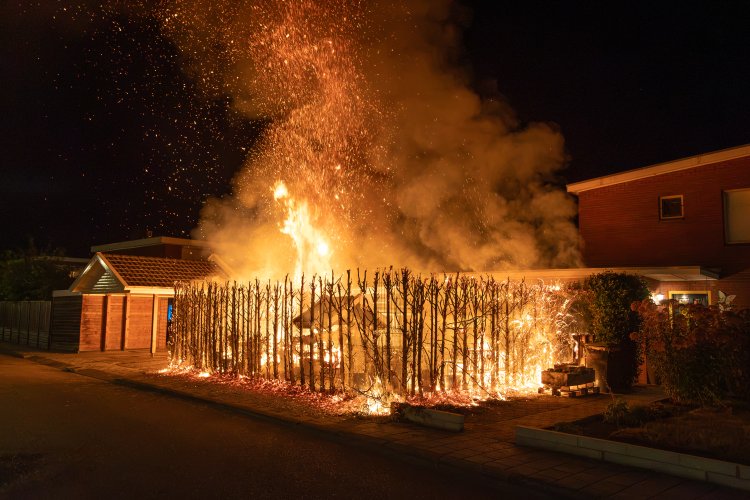 Coniferenhaag in brand Frans Halsstraat Groenlo — 20260813-HX4A3160