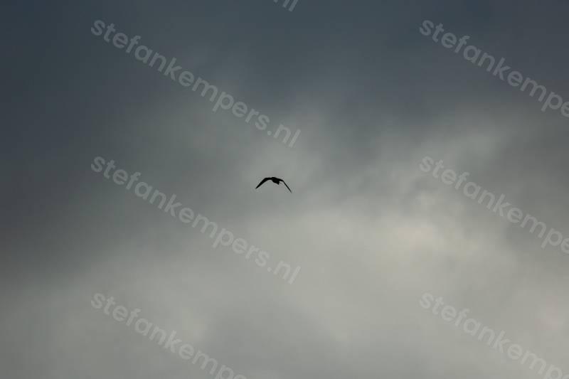 MT2026_stefan-138-2